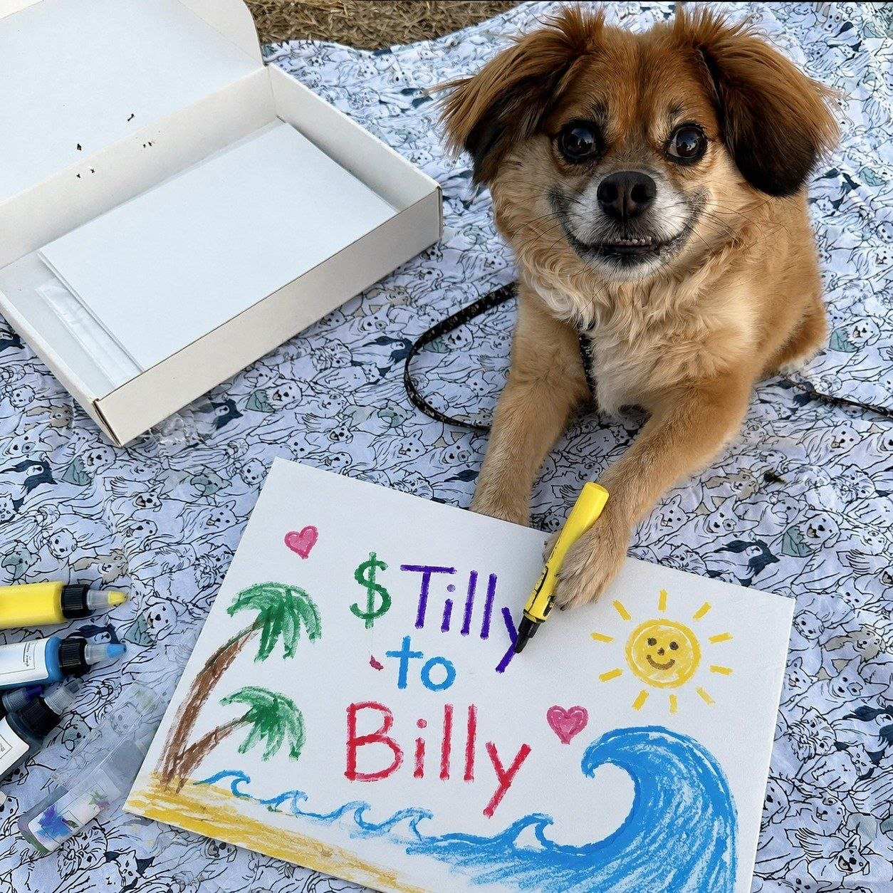 Tilly drawing a colorful Tilly to Billy picture